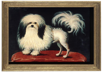 The Legend of Bijou, a parti-colored Löwchen lived in a castle in Weilburg, Germany on the Lahn River