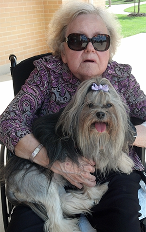 Blessings of the Animals Event with a Lowchen - Feast of St. Francis of Assisi