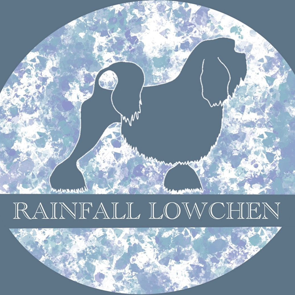 Rainfall Löwchen