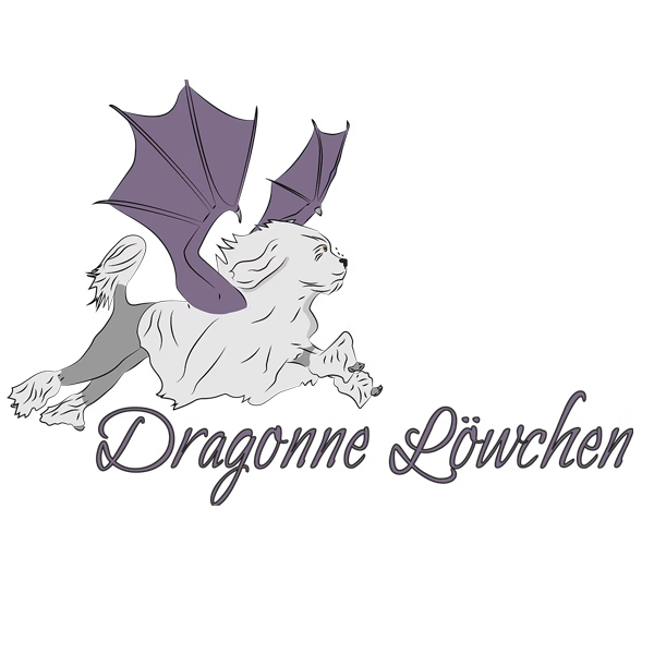 Dragonne Löwchen